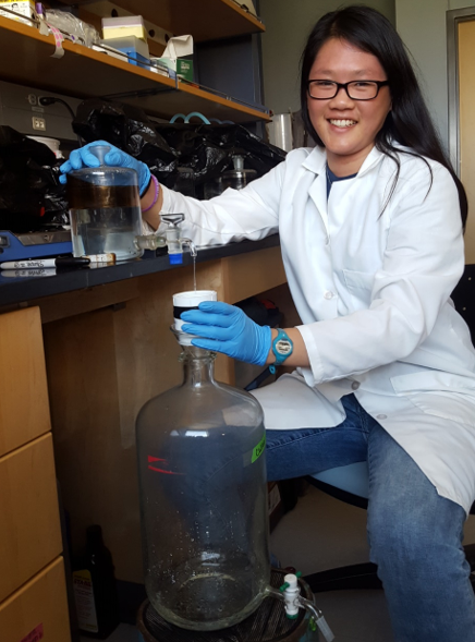 Photo of Michelle Nguyen at work in Dr. Antonietta Quigg's Phytoplankton Dynamics lab.